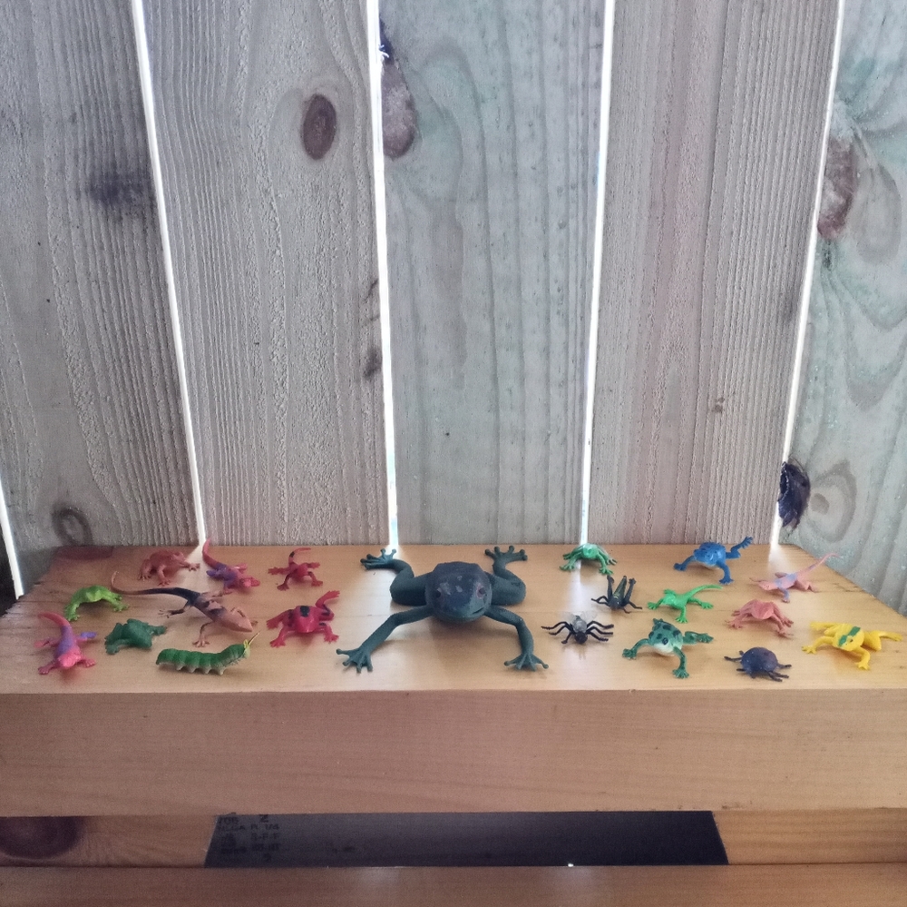 Colorful Toy Frogs and Lizards Set